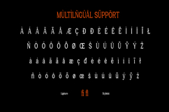 Castle of Avenue - a Serif Family Font Product Image 10