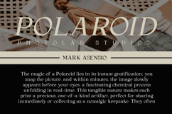 Lacture - Elegant Serif Font Product Image 8