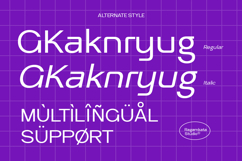 Reyda - Modern Sans Serif Product Image 10