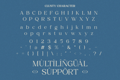 Clusty - Modern Serif Font Product Image 10