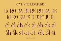 Bellyna Tuberos - Modern Elegant Serif Product Image 10