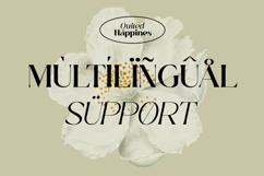 Quited Happines - Variable Elegant Font Product Image 10