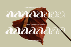 Quited Happines - Variable Elegant Font Product Image 2