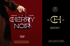 Favions - Classy Logo Typeface Product Image 3