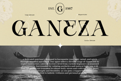 Modern Elegant Serif - Bevola Product Image 3