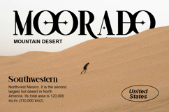 Rugola - Modern Luxury Font Product Image 4