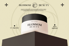 Modern Elegant Serif - Bevola Product Image 4