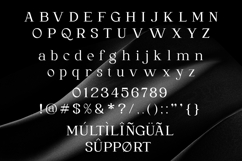 Lacture - Elegant Serif Font Product Image 9