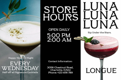 A Modern Luxury Font - Ornely Product Image 5