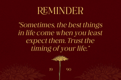 Bellyna Tuberos - Modern Elegant Serif Product Image 6