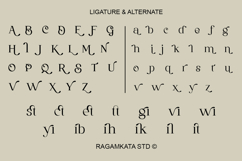 Lacture - Elegant Serif Font Product Image 10
