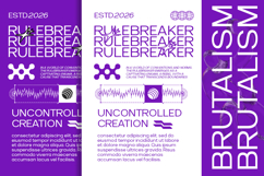 Reyda - Modern Sans Serif Product Image 6