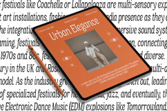 Castle Of Avenue A Serif Family Product Image 7