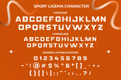 Sport Ligema - Display Sport Sans Product Image 9