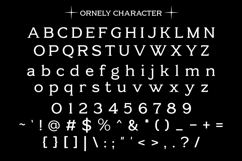A Modern Luxury Font - Ornely Product Image 9