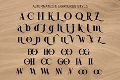Rugola - Modern Luxury Font Product Image 9