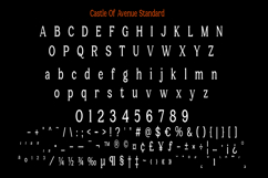 Castle Of Avenue A Serif Family Product Image 9