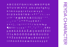 Reyda - Modern Sans Serif Product Image 9