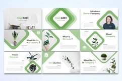 Cavares - Powerpoint Template Product Image 2
