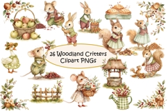 26 Cute Woodland Critters Clipart kit PNGs Product Image 1