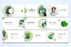 Plant - Google Slides Template Product Image 4