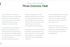 NOVUS Multipurpose PowerPoint Presentation Product Image 23