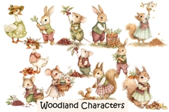 26 Cute Woodland Critters Clipart kit PNGs Product Image 2