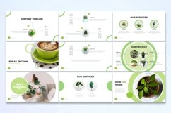 Plant - Google Slides Template Product Image 3