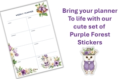 Purple Forest Owl Stickers Stickers, PNGs Product Image 3