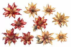 24 Piece Christmas Florals Watercolour Clipart PNG Product Image 4