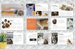 Nekoshi - Pet Business Keynote Presentation Product Image 2