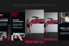Progym - Instagram Story Template Product Image 6