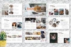 Nekoshi - Pet Business Keynote Presentation Product Image 4