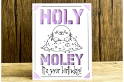 Birthday Insert Card SVG Bundle | 9 Holiday Card Designs Product Image 6