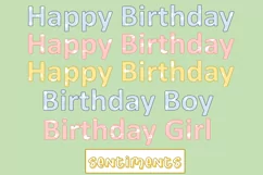 Cute Birthday Bunnies Clipart 50pieces PNGs 300dpi Product Image 7