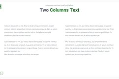 NOVUS Multipurpose PowerPoint Presentation Product Image 21