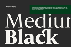 Slingera - Display Serif Product Image 3