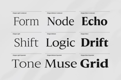 Slingera - Display Serif Product Image 5