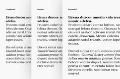 Slingera - Display Serif Product Image 9