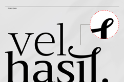 Slingera - Display Serif Product Image 10