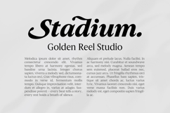 Slingera - Display Serif Product Image 11