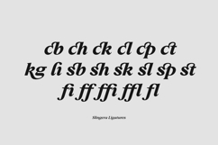 Slingera - Display Serif Product Image 14