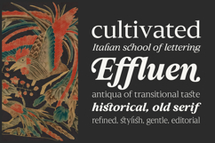 Slingera - Display Serif Product Image 15