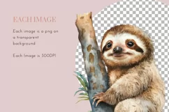 Cute Sloth Clipart | Watercolor Clipart PNG Product Image 3