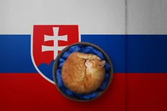Backgrounds for Photography & Marketing. Slovakia Product Image 7