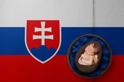 Backgrounds for Photography & Marketing. Slovakia Product Image 4