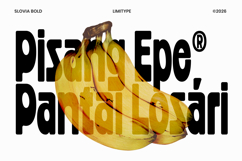 Slovia - Bold Condensed Font Product Image 4
