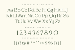 Slowdate - Beauty Elegant Ligature Serif Product Image 11