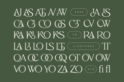 Slowdate - Beauty Elegant Ligature Serif Product Image 3