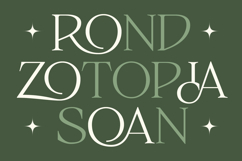 Slowdate - Beauty Elegant Ligature Serif Product Image 5